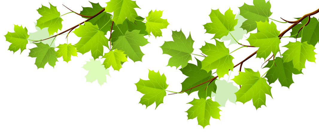 background leaves